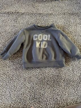 Little Co organic Gray Kids Sweatshirt